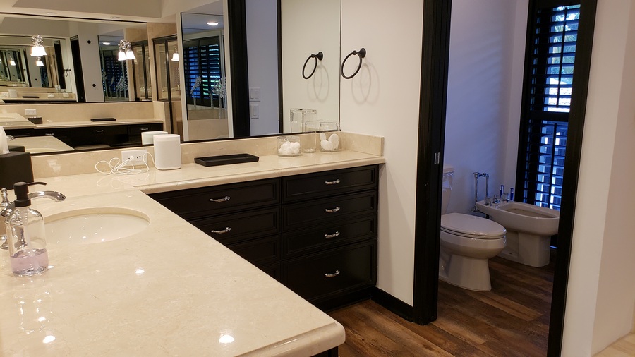 Master Vanity Sink One